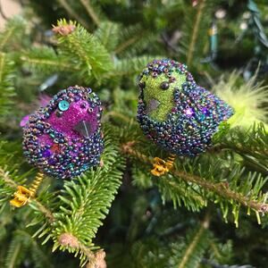 Beaded Sequin Embellished Clip-On Birds Set of 2 Purple and Green